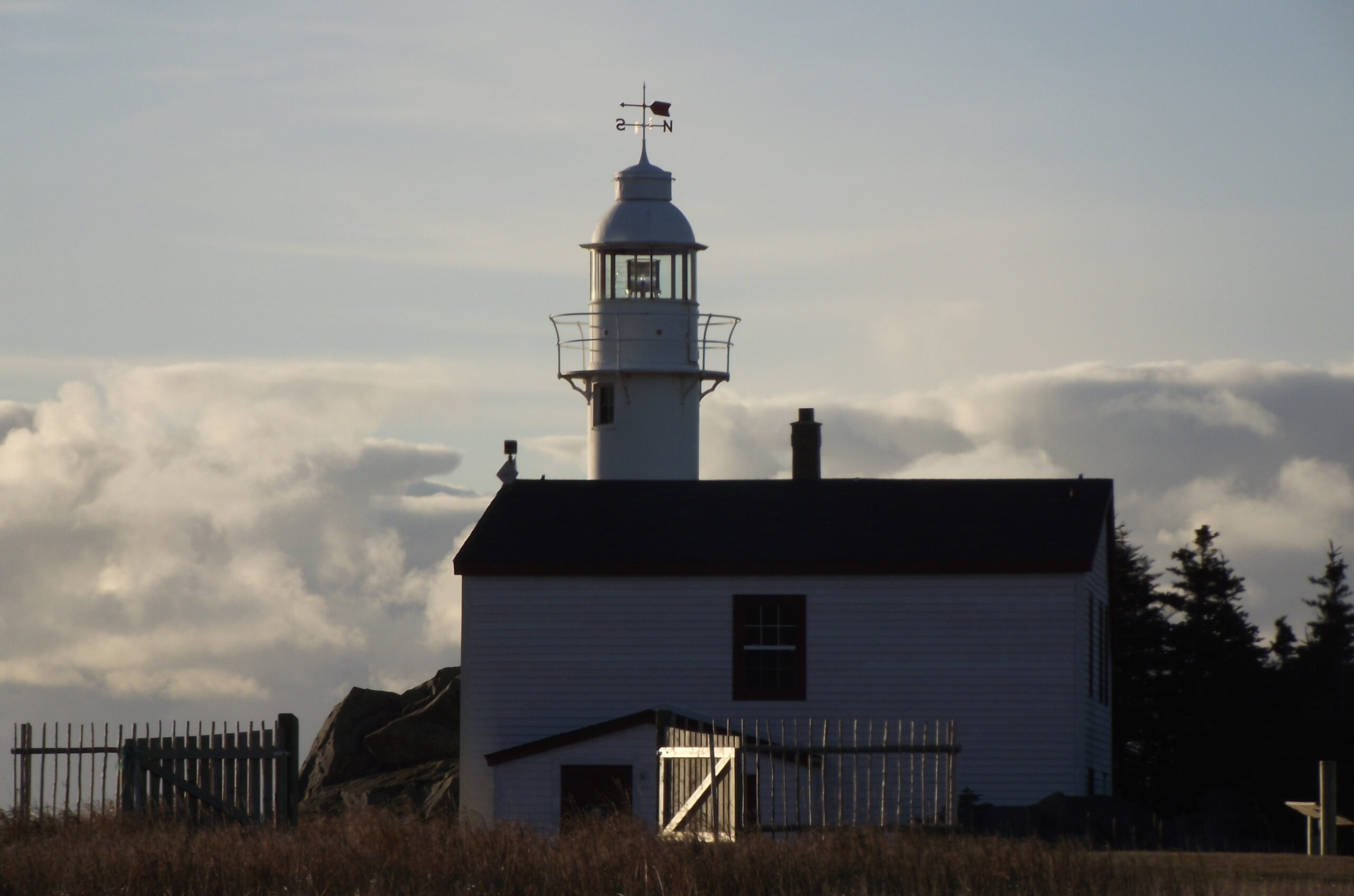 Main Gallery Display