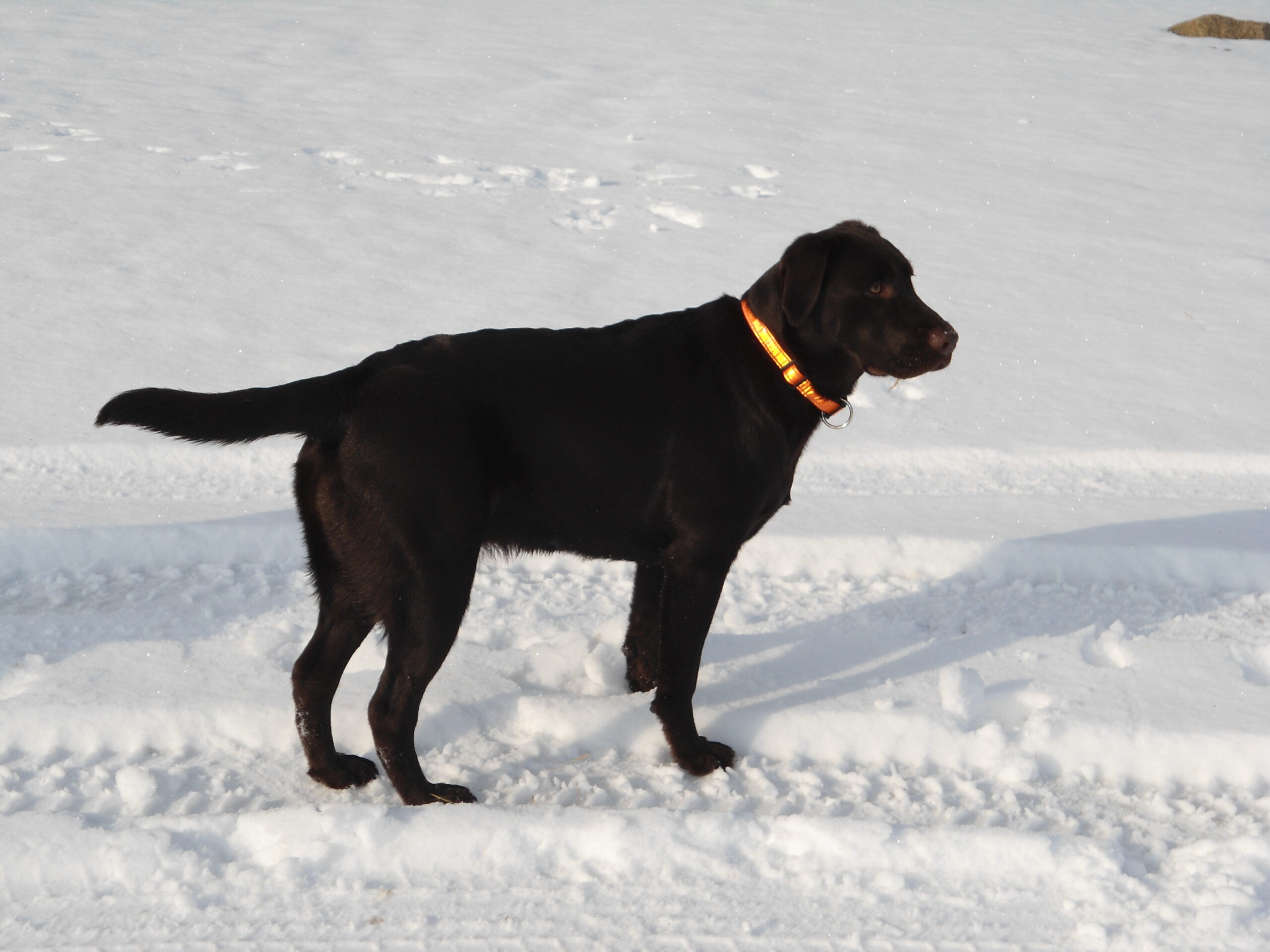 Main Gallery Display