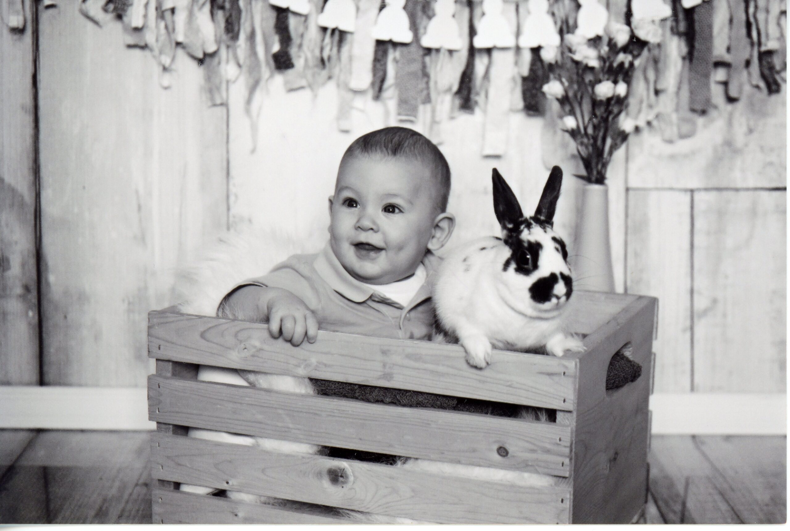 Main Gallery Display