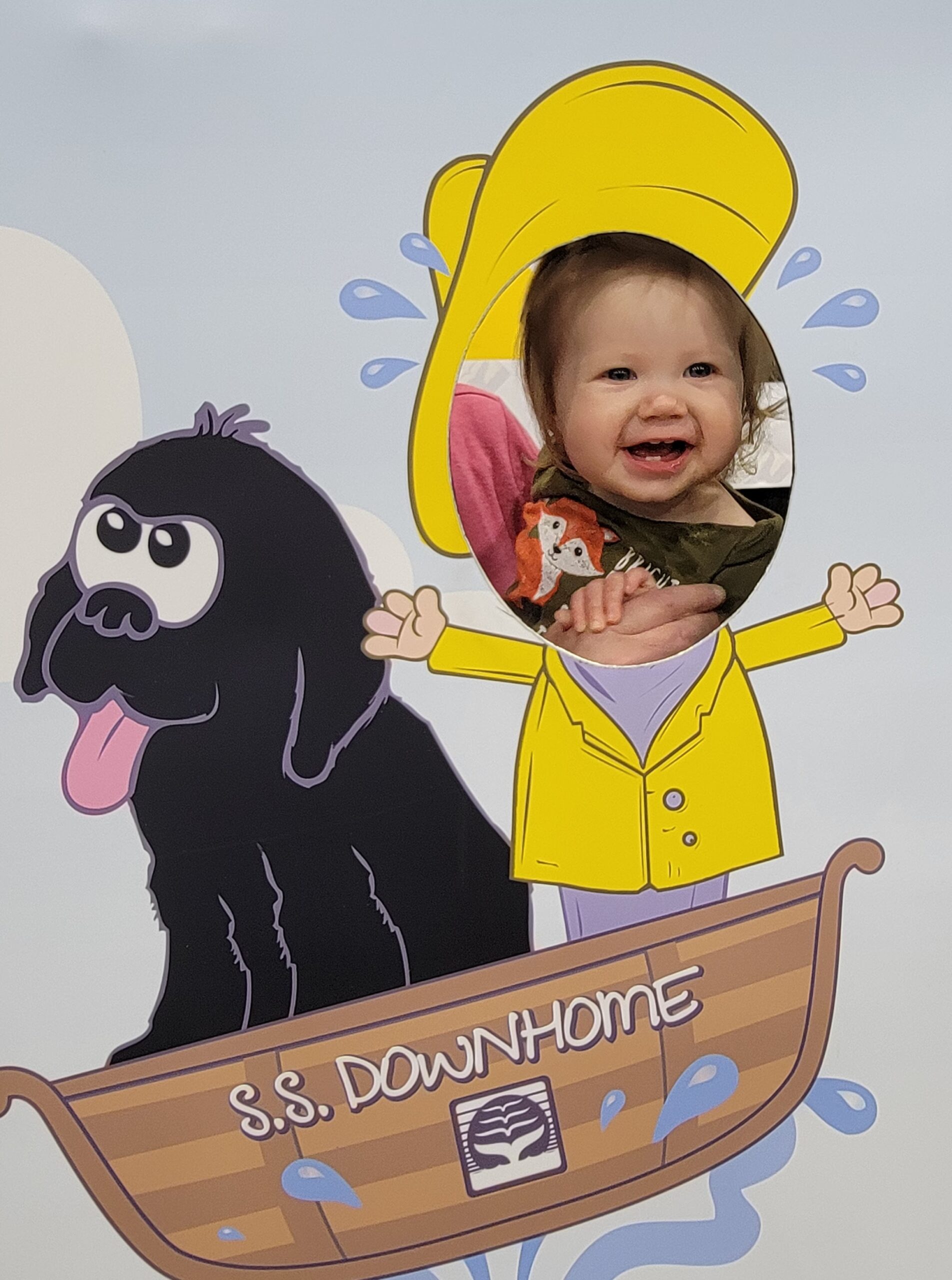 Main Gallery Display