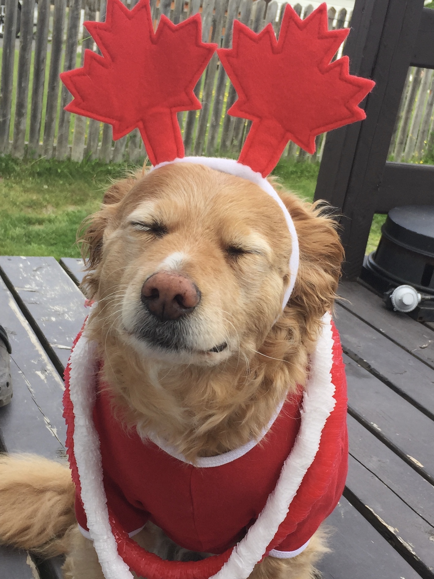 Main Gallery Display