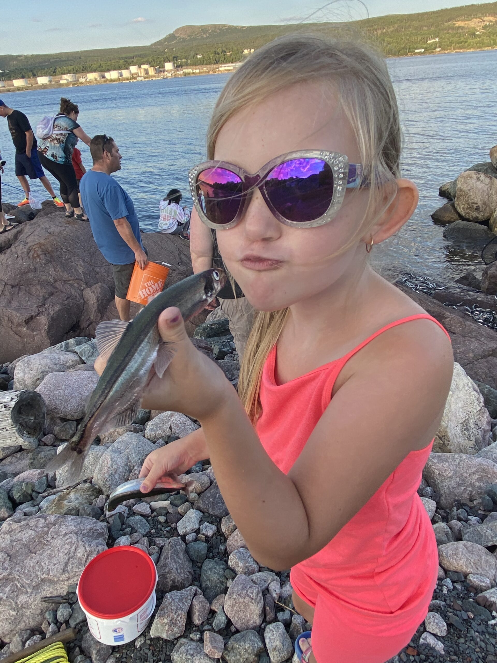 Main Gallery Display