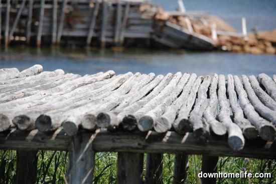Main Gallery Display