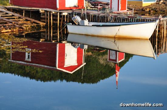 Main Gallery Display