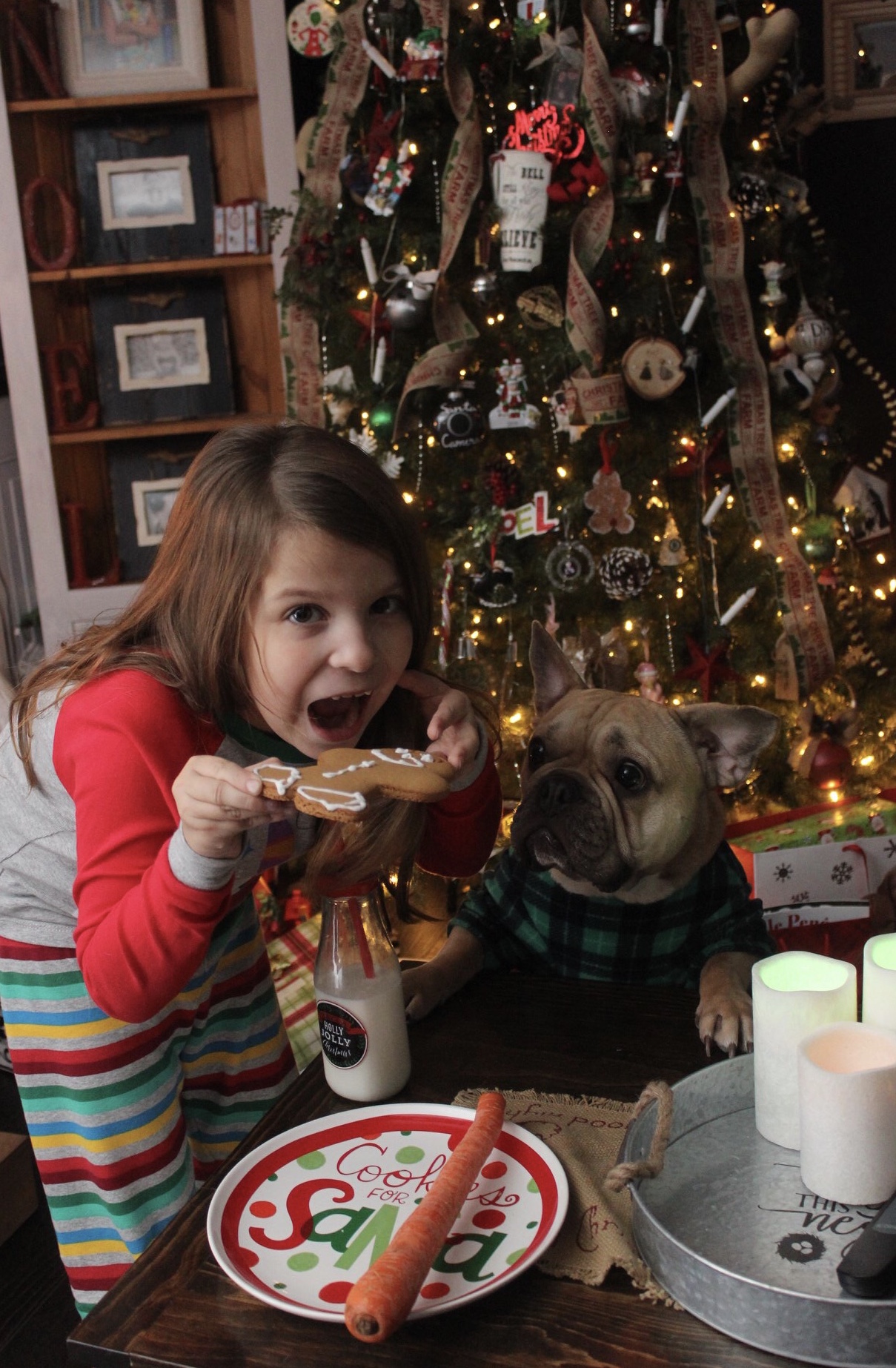 Main Gallery Display