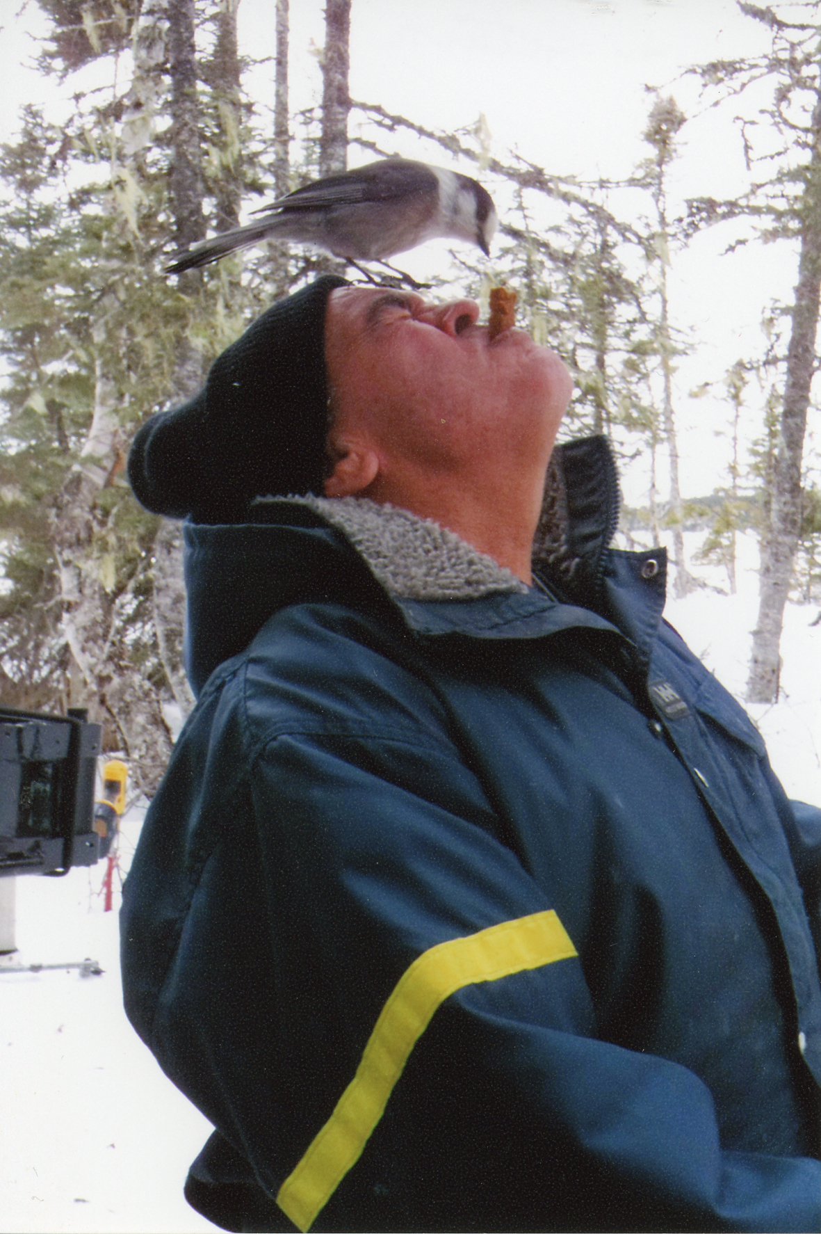 Main Gallery Display