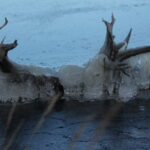 Thumbnail Preview