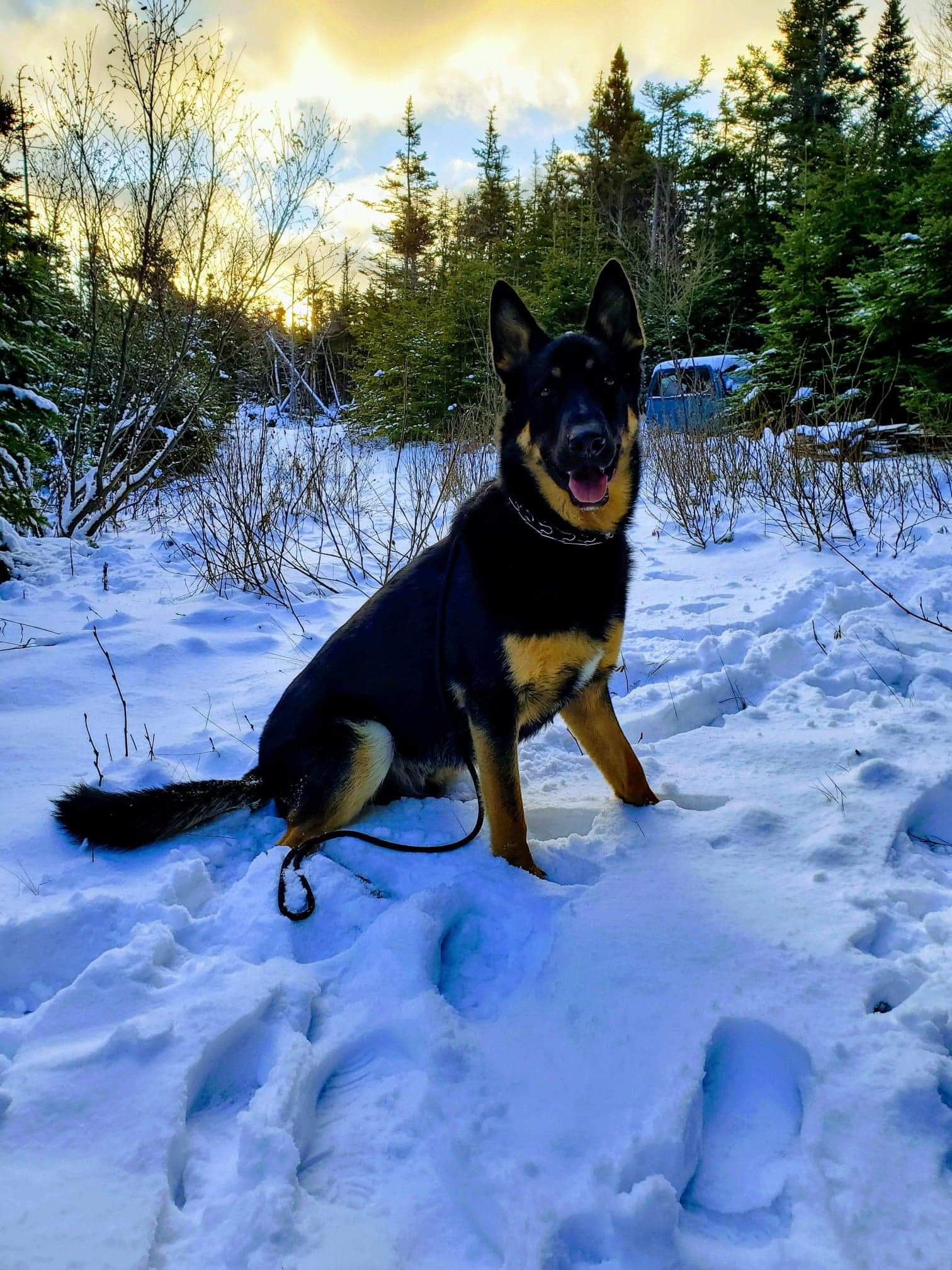 Main Gallery Display