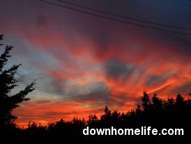 Main Gallery Display
