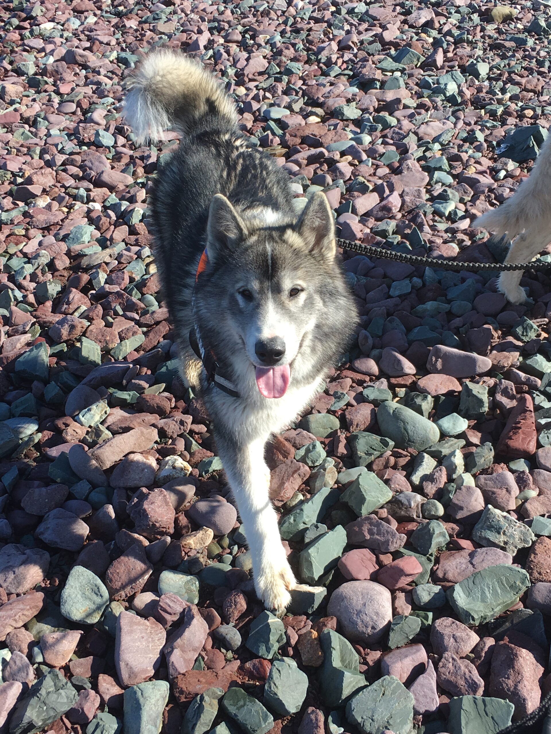 Main Gallery Display