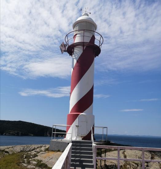 Main Gallery Display
