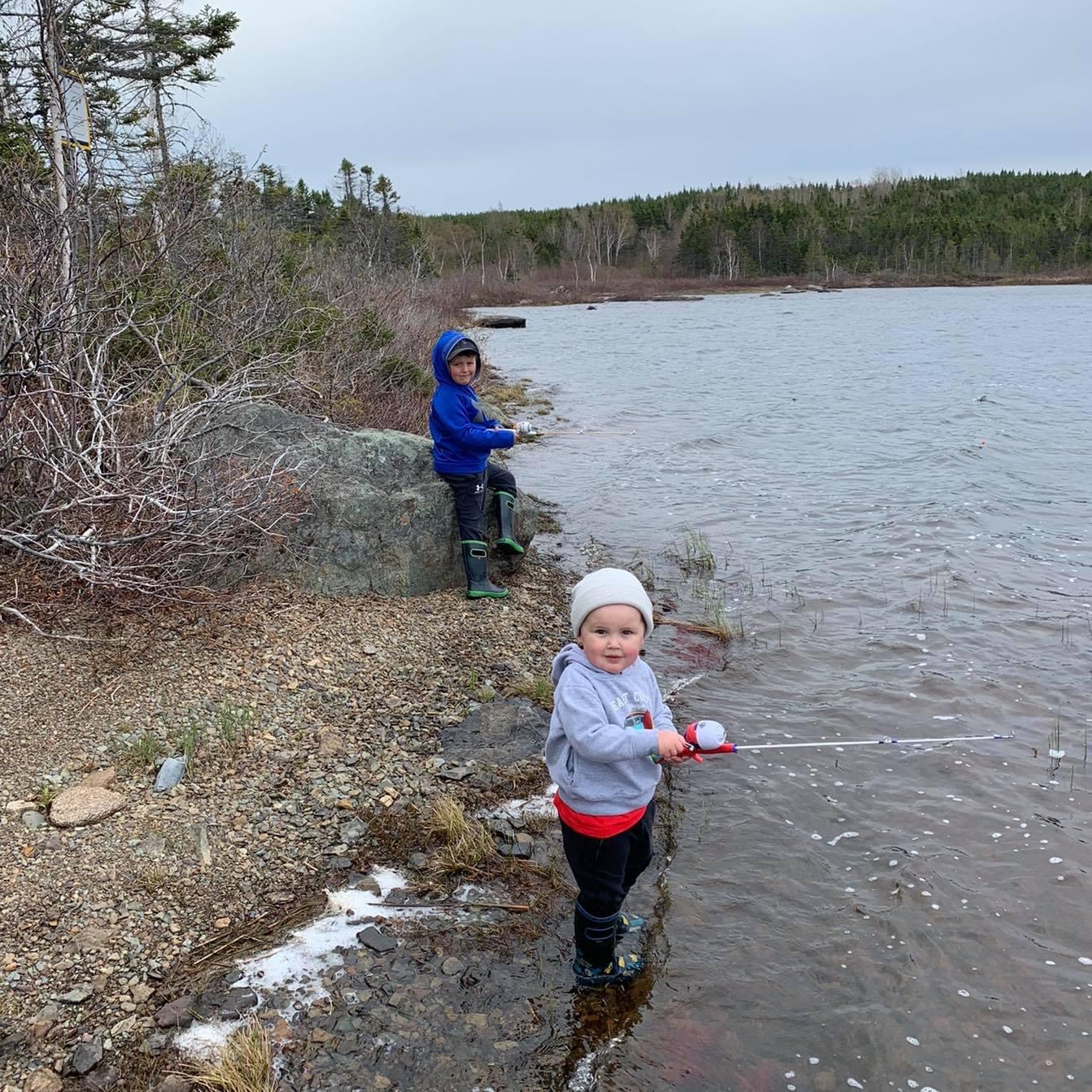 Main Gallery Display
