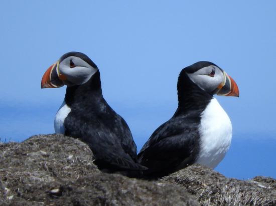 Main Gallery Display