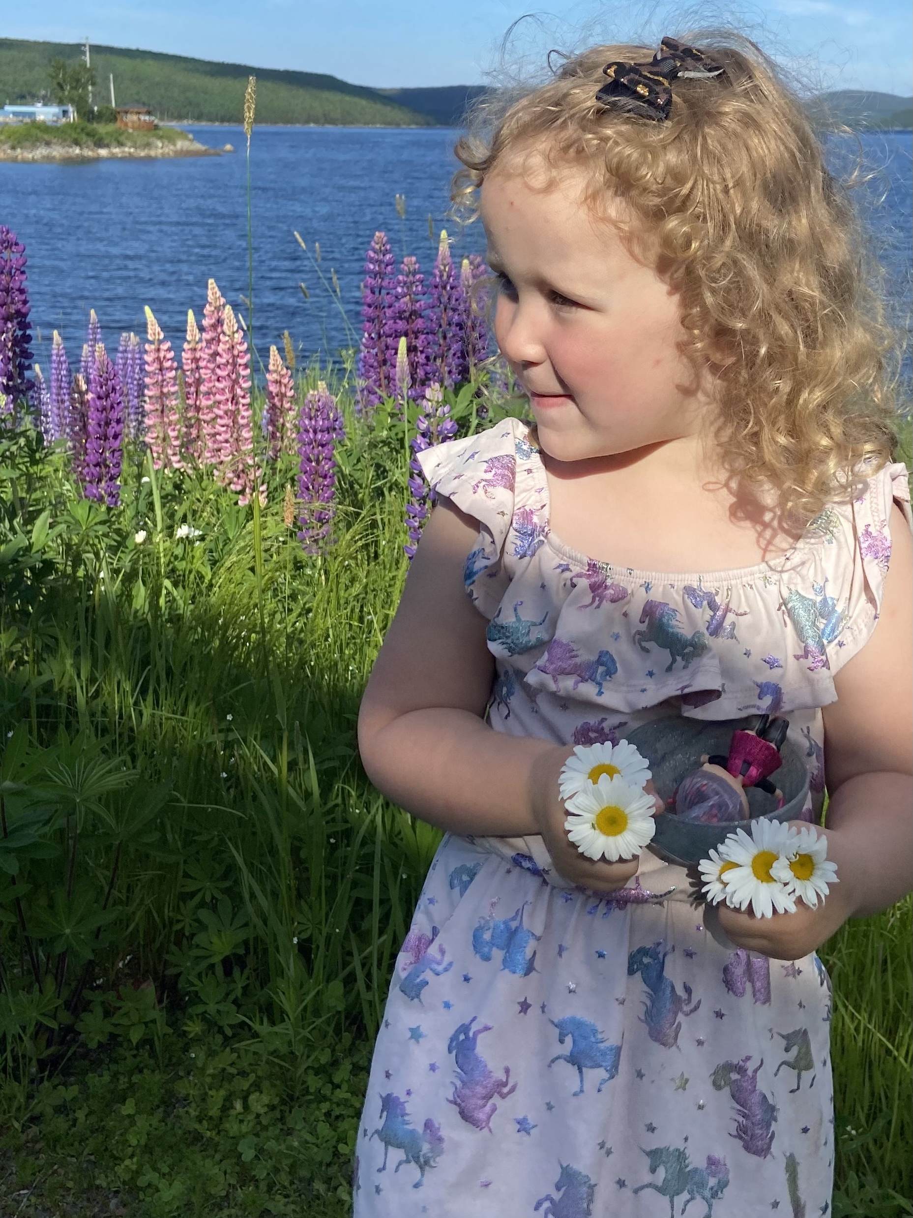 Main Gallery Display