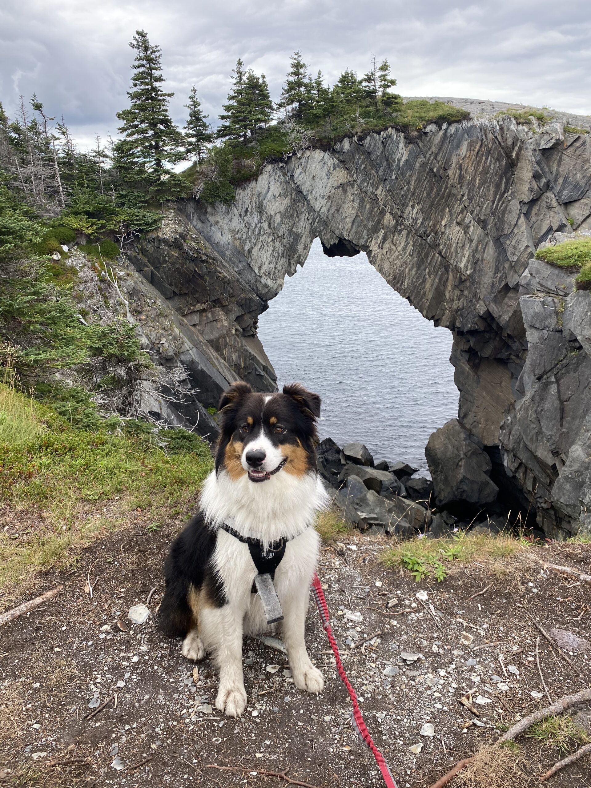 Main Gallery Display