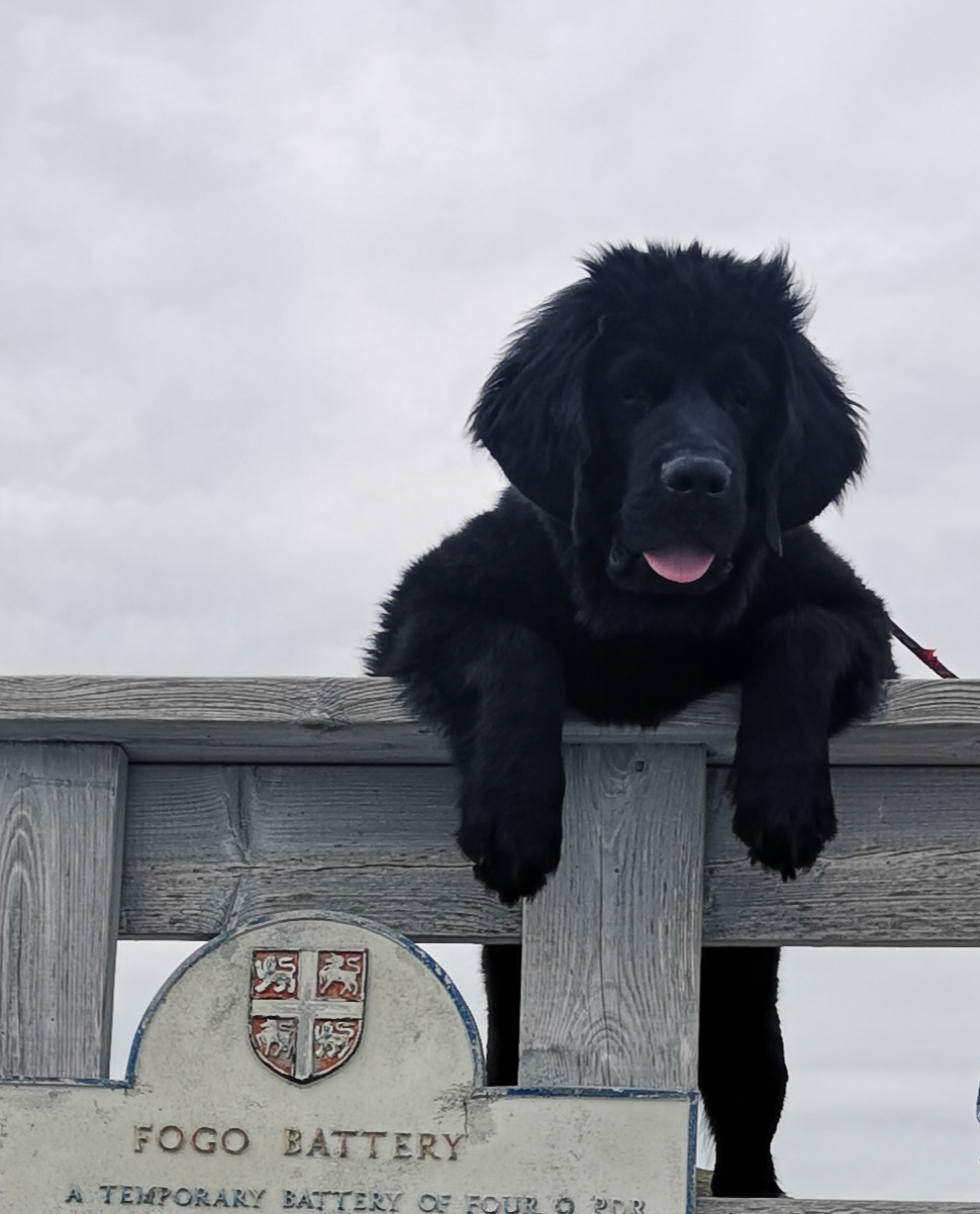 Main Gallery Display