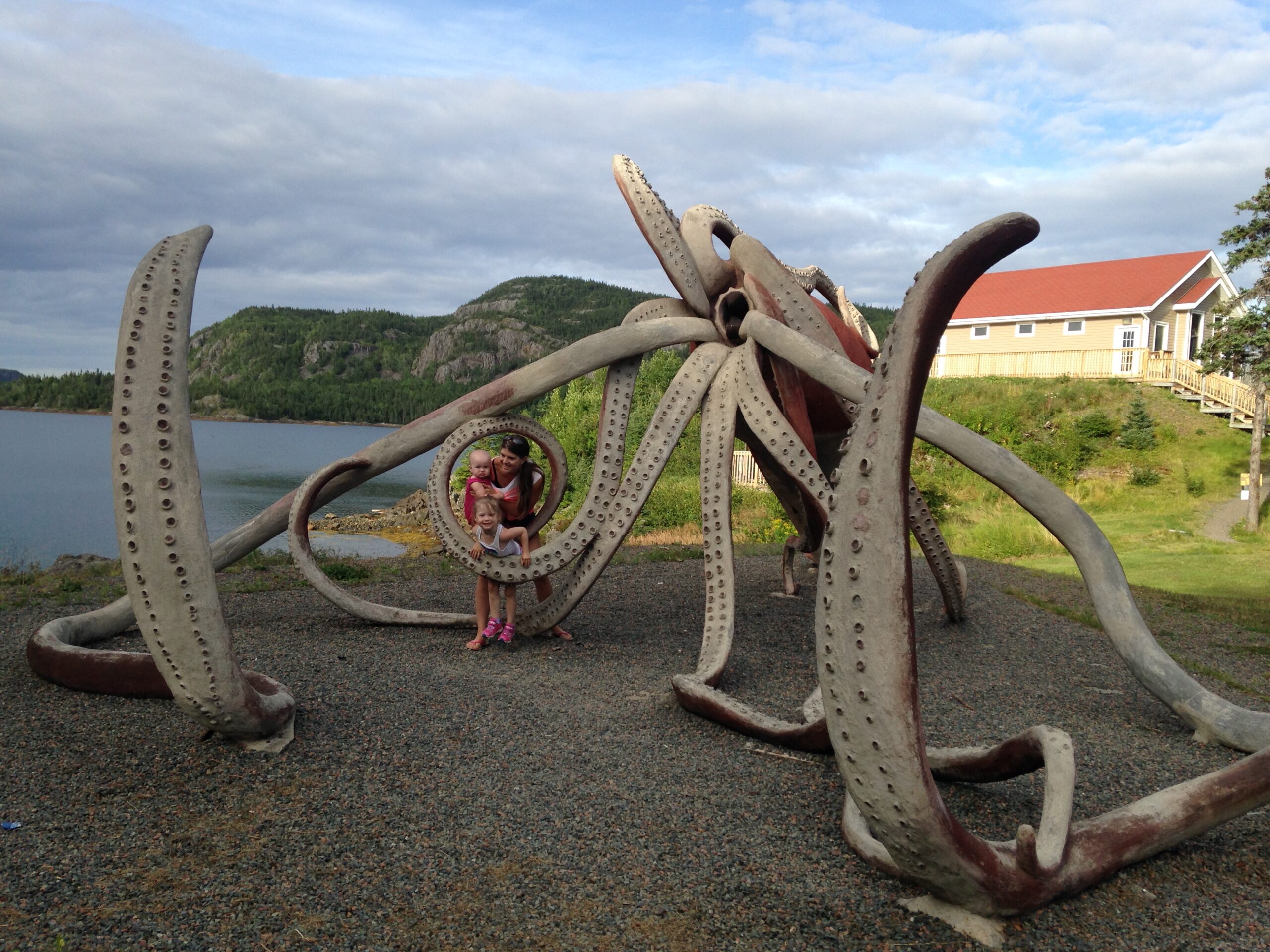 Main Gallery Display