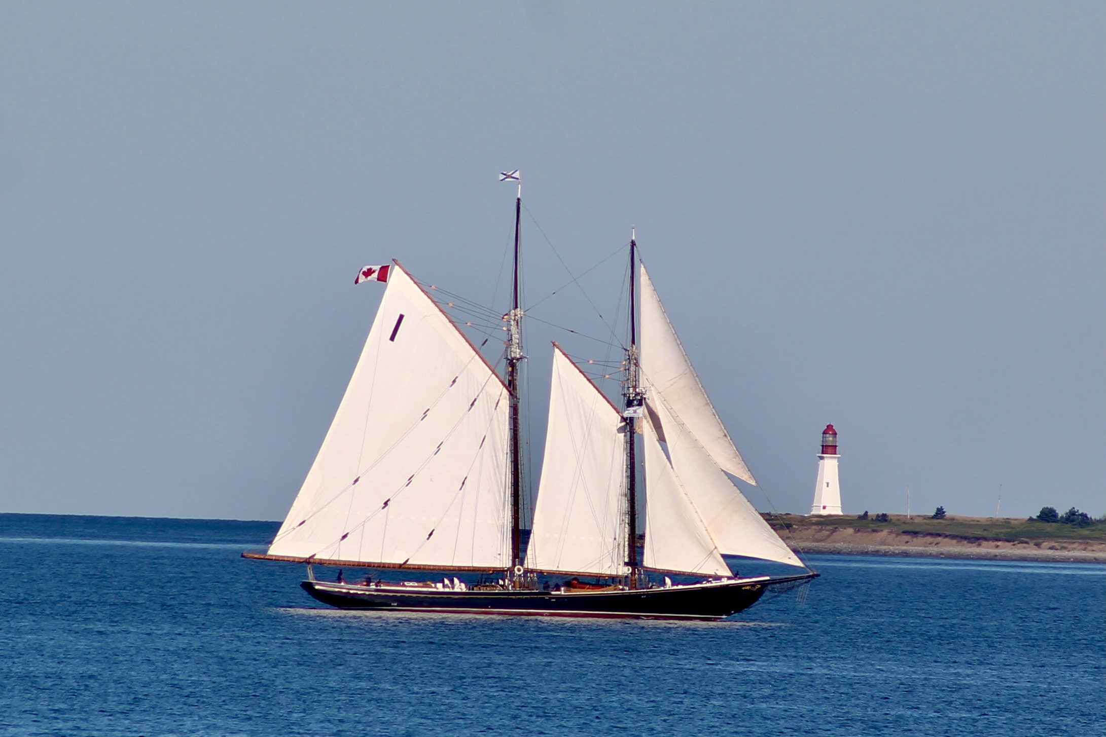 Main Gallery Display