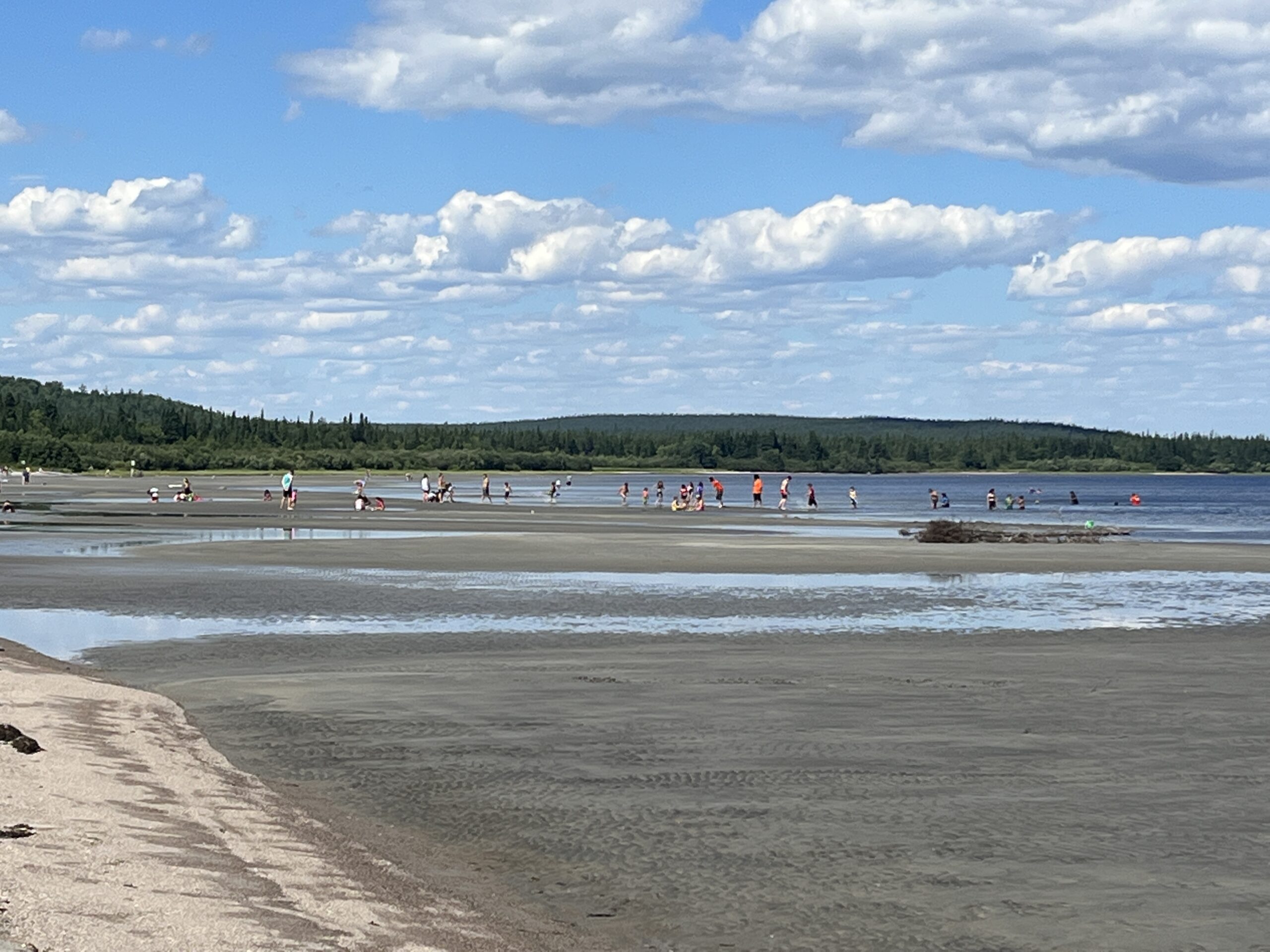 Main Gallery Display