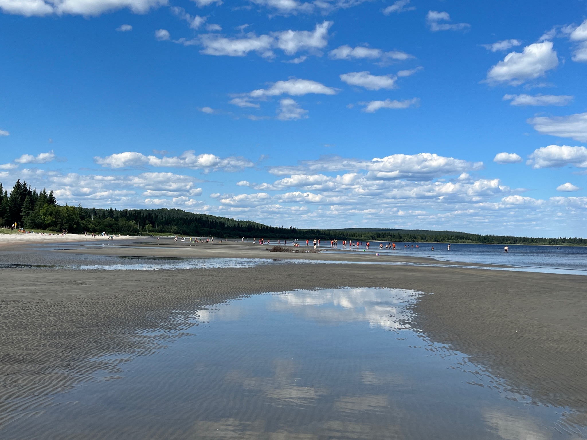 Main Gallery Display