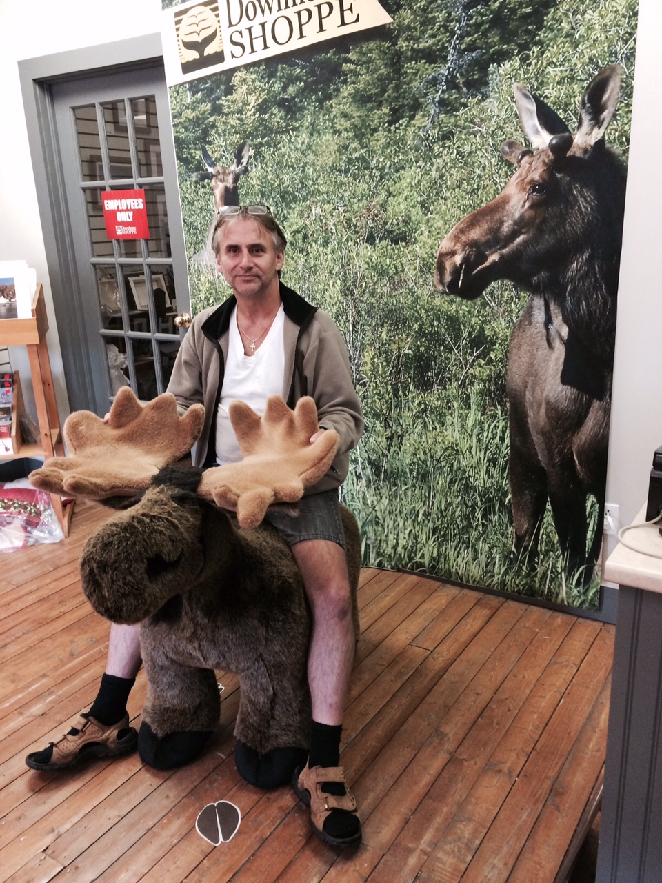 Main Gallery Display