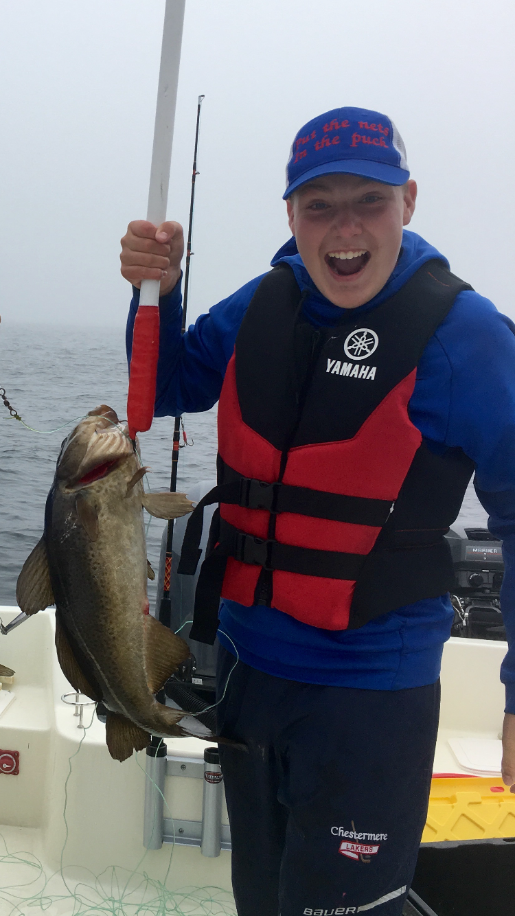 Main Gallery Display