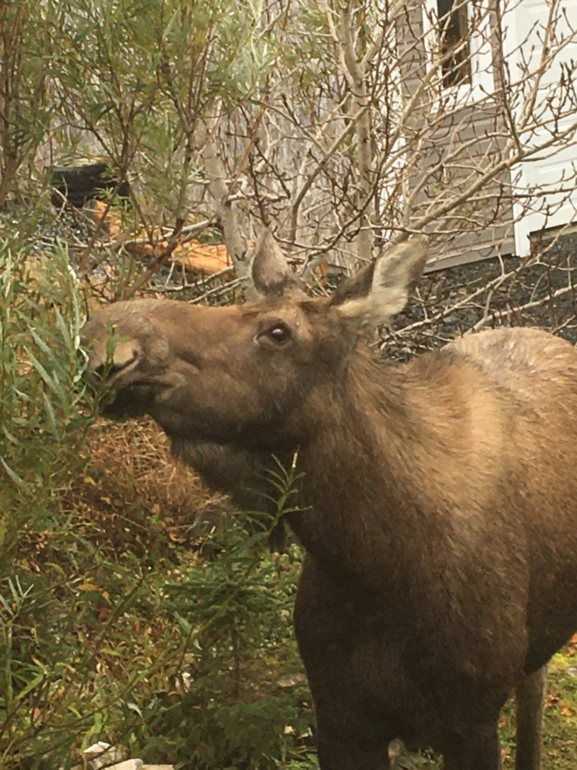 Main Gallery Display
