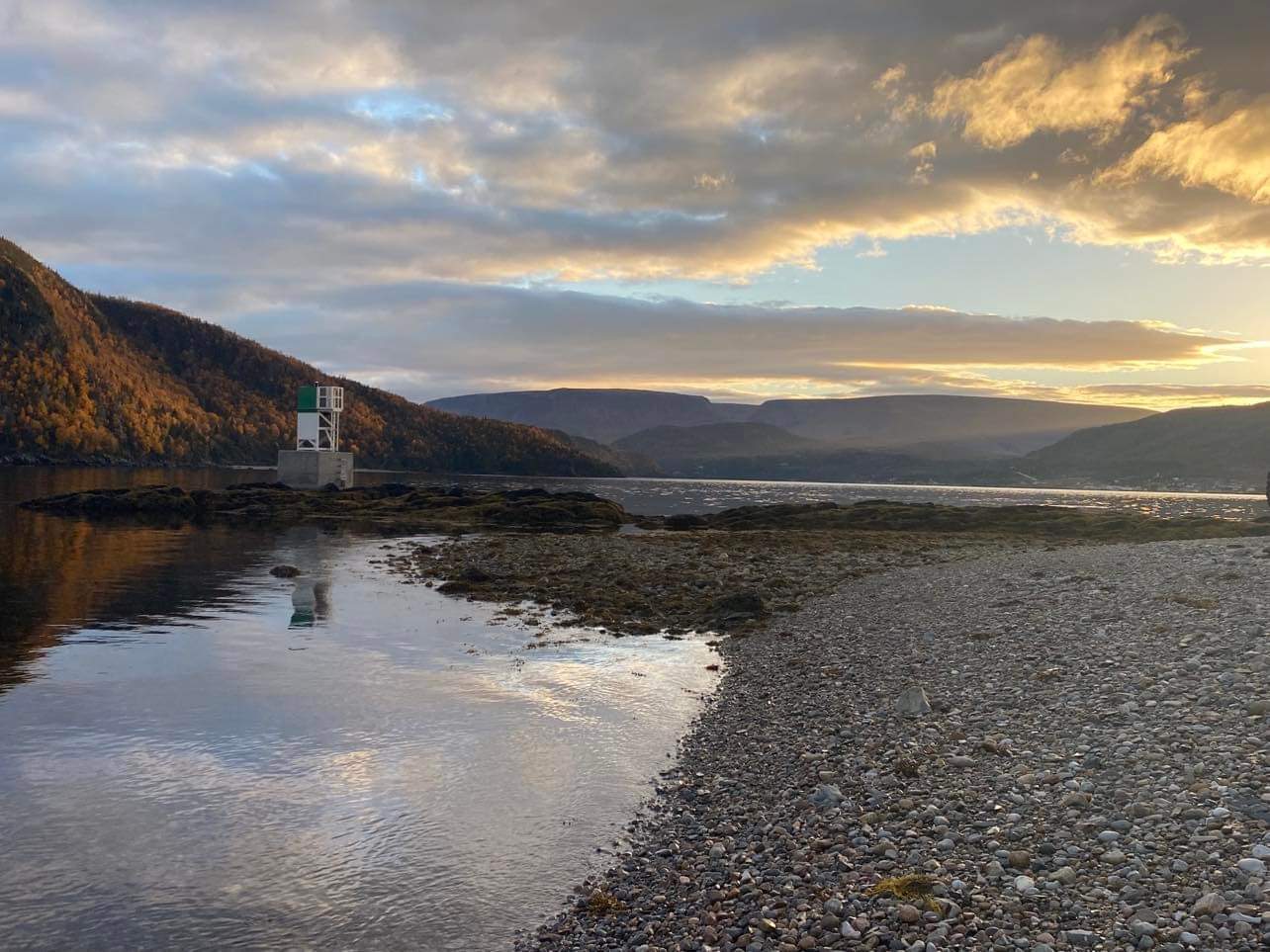 Main Gallery Display