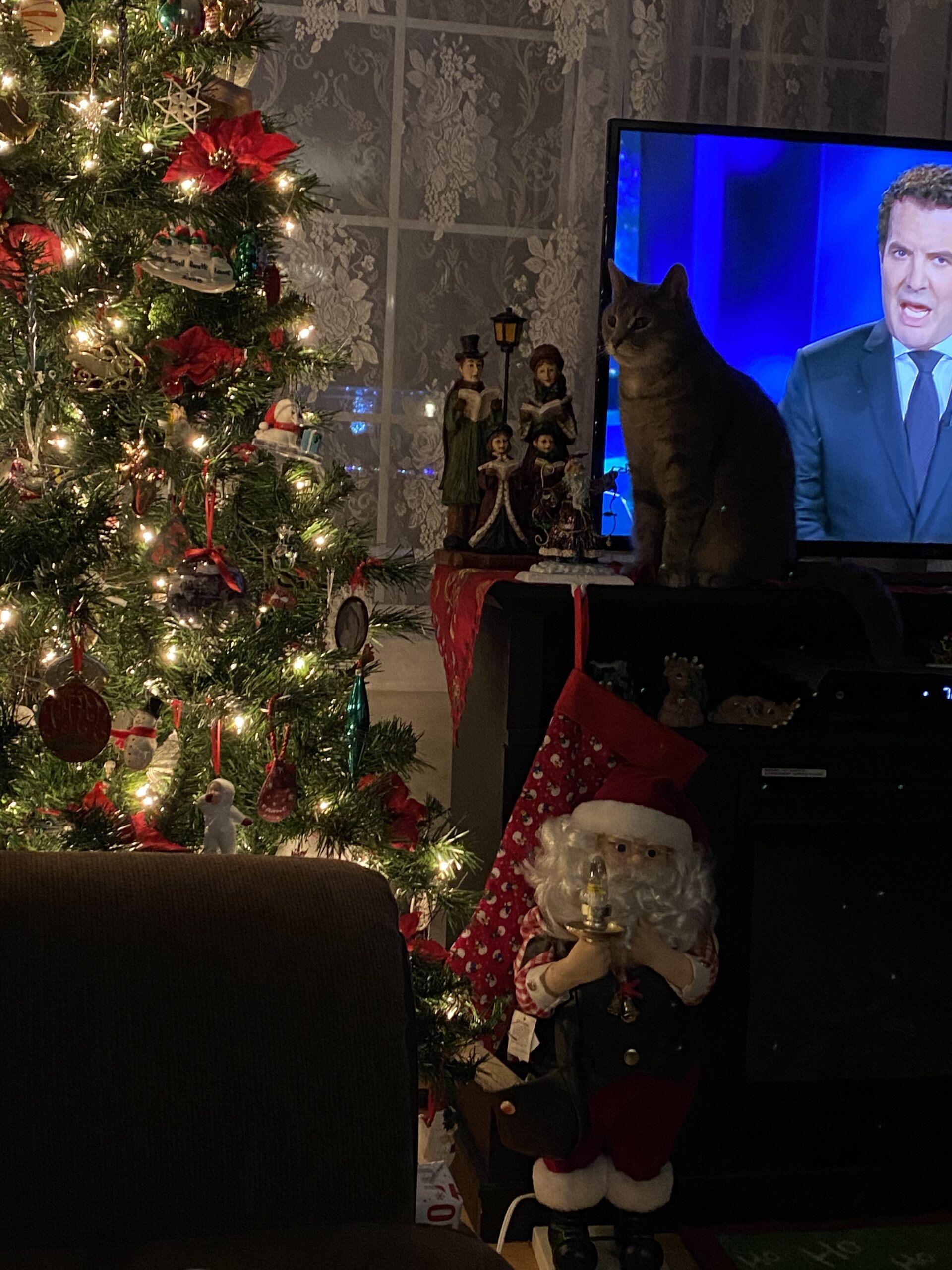 Main Gallery Display