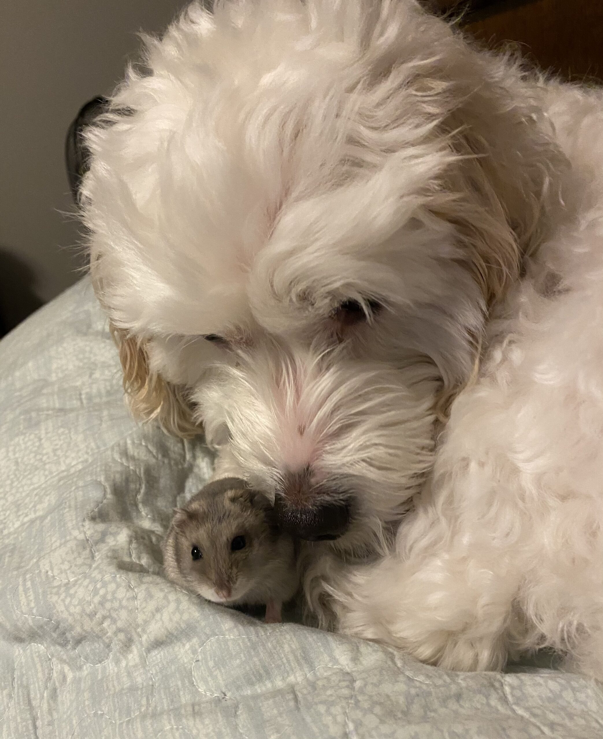 Main Gallery Display