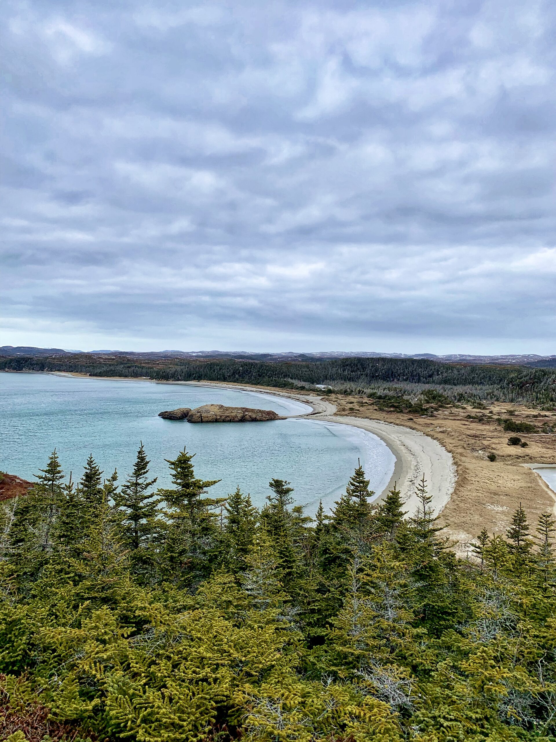 Main Gallery Display