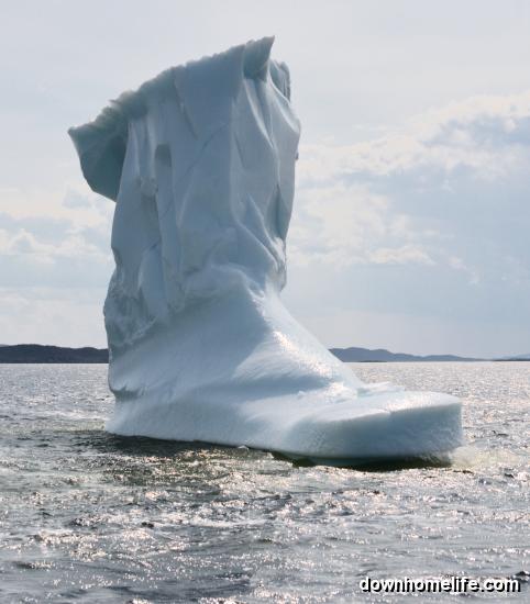 Main Gallery Display