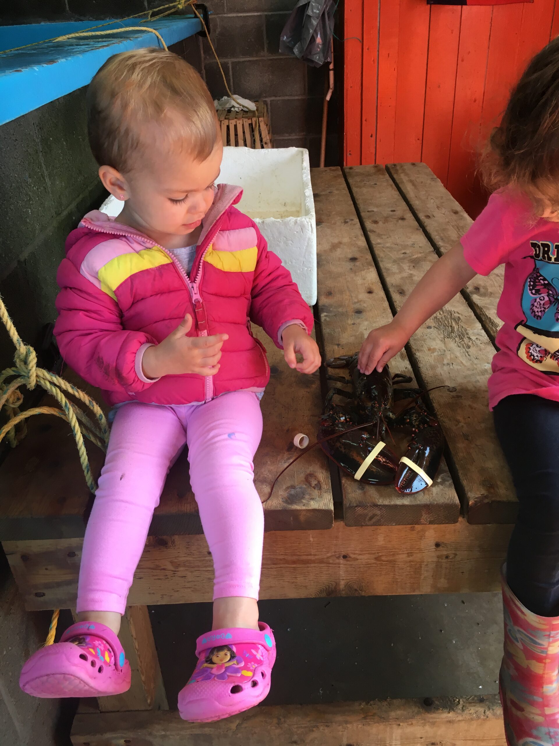 Main Gallery Display