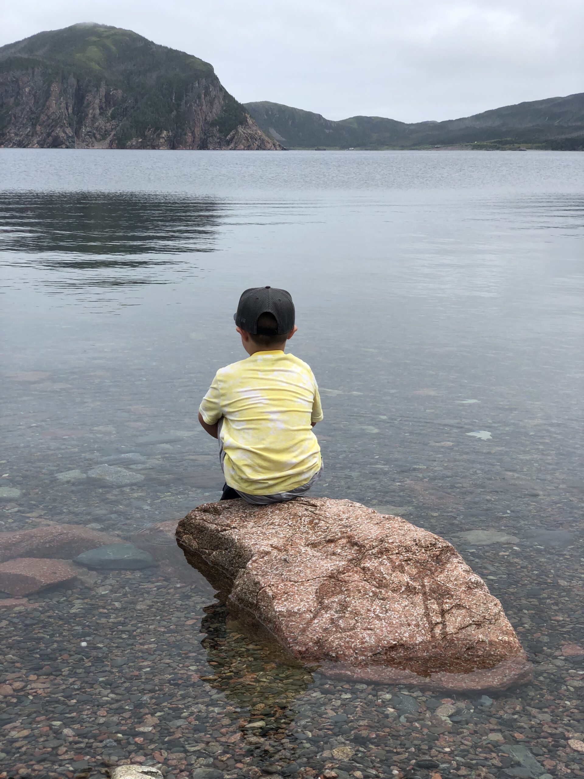 Main Gallery Display