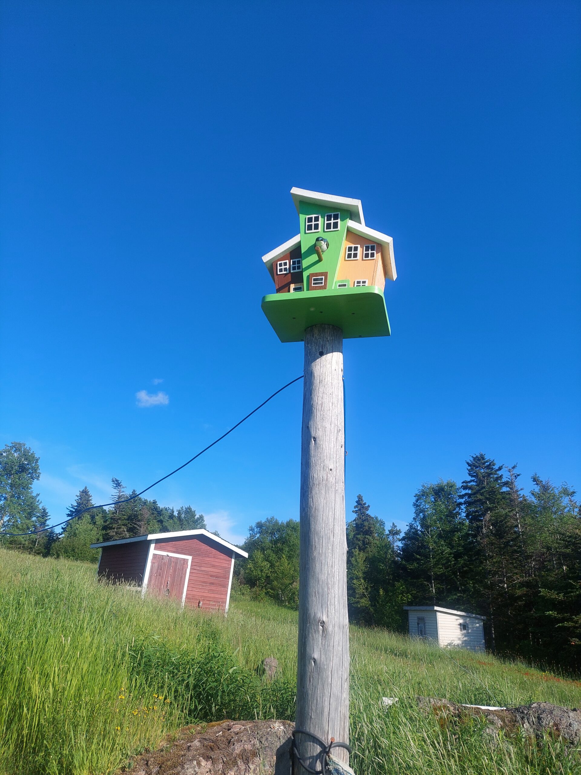 Main Gallery Display