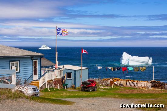 Main Gallery Display
