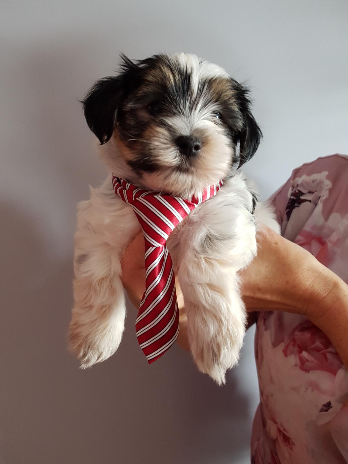 Main Gallery Display