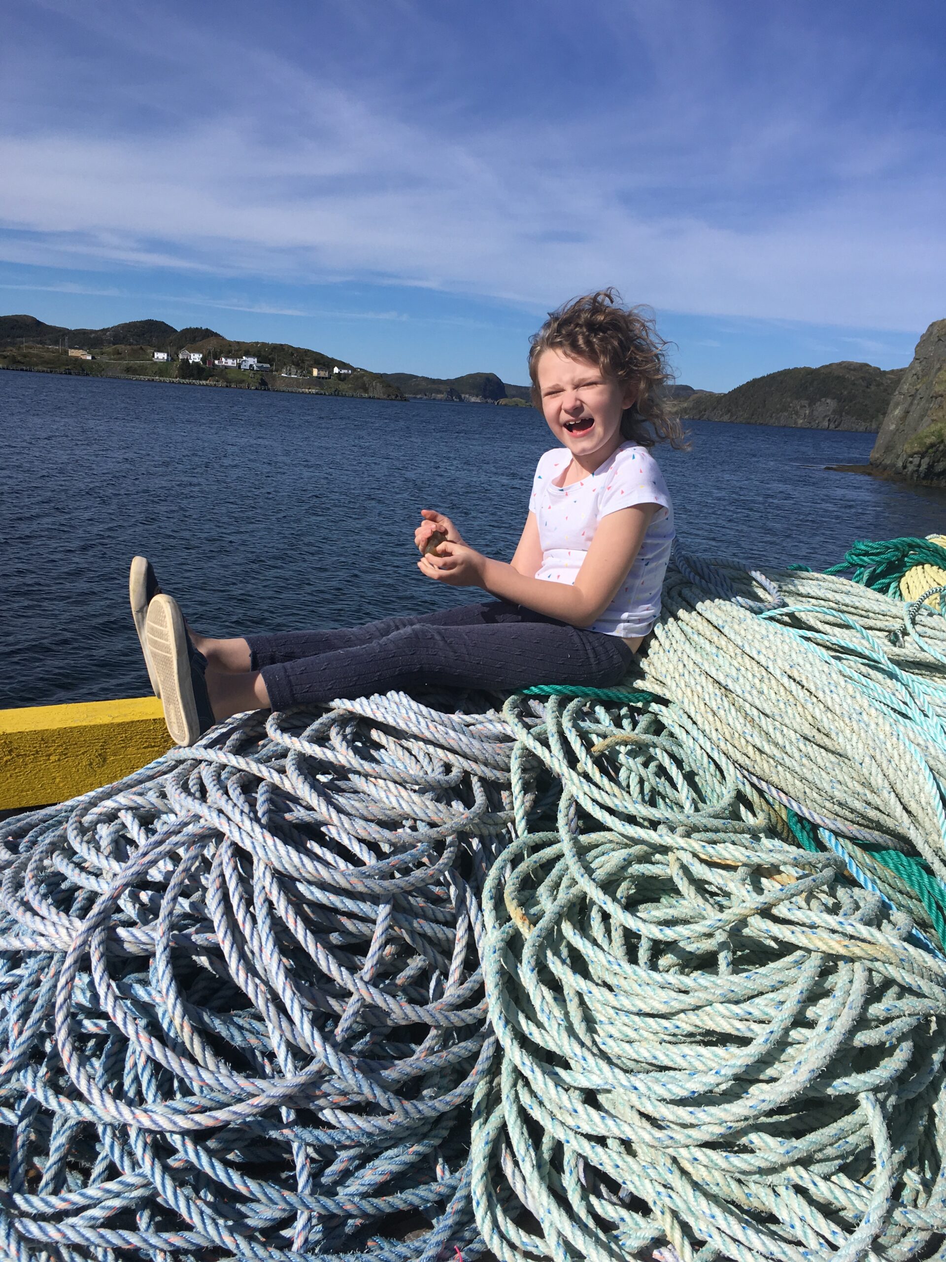Main Gallery Display