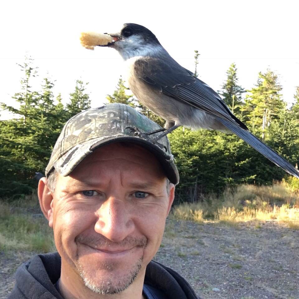 Main Gallery Display