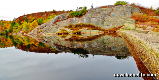 Main Gallery Display