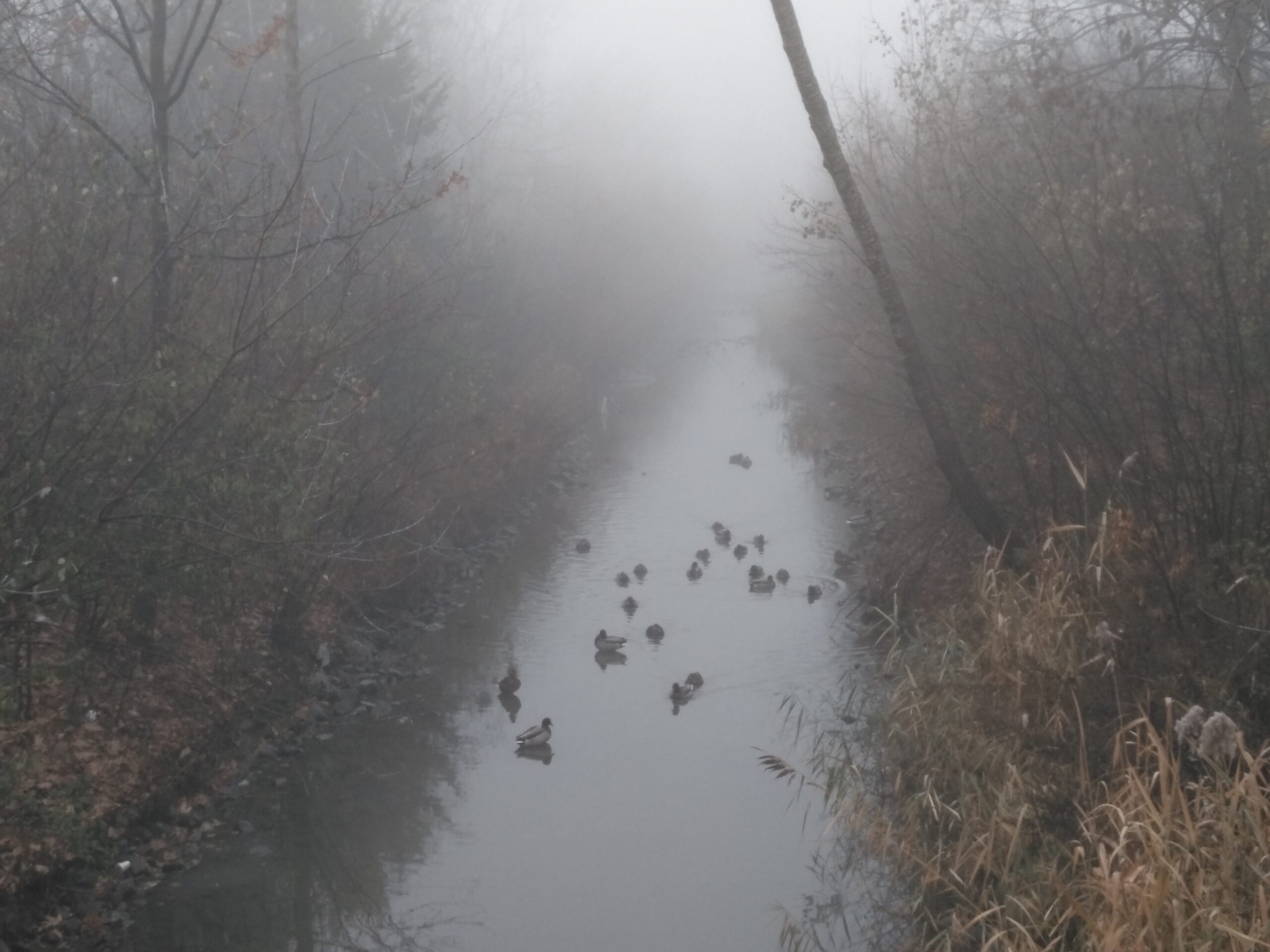 Main Gallery Display