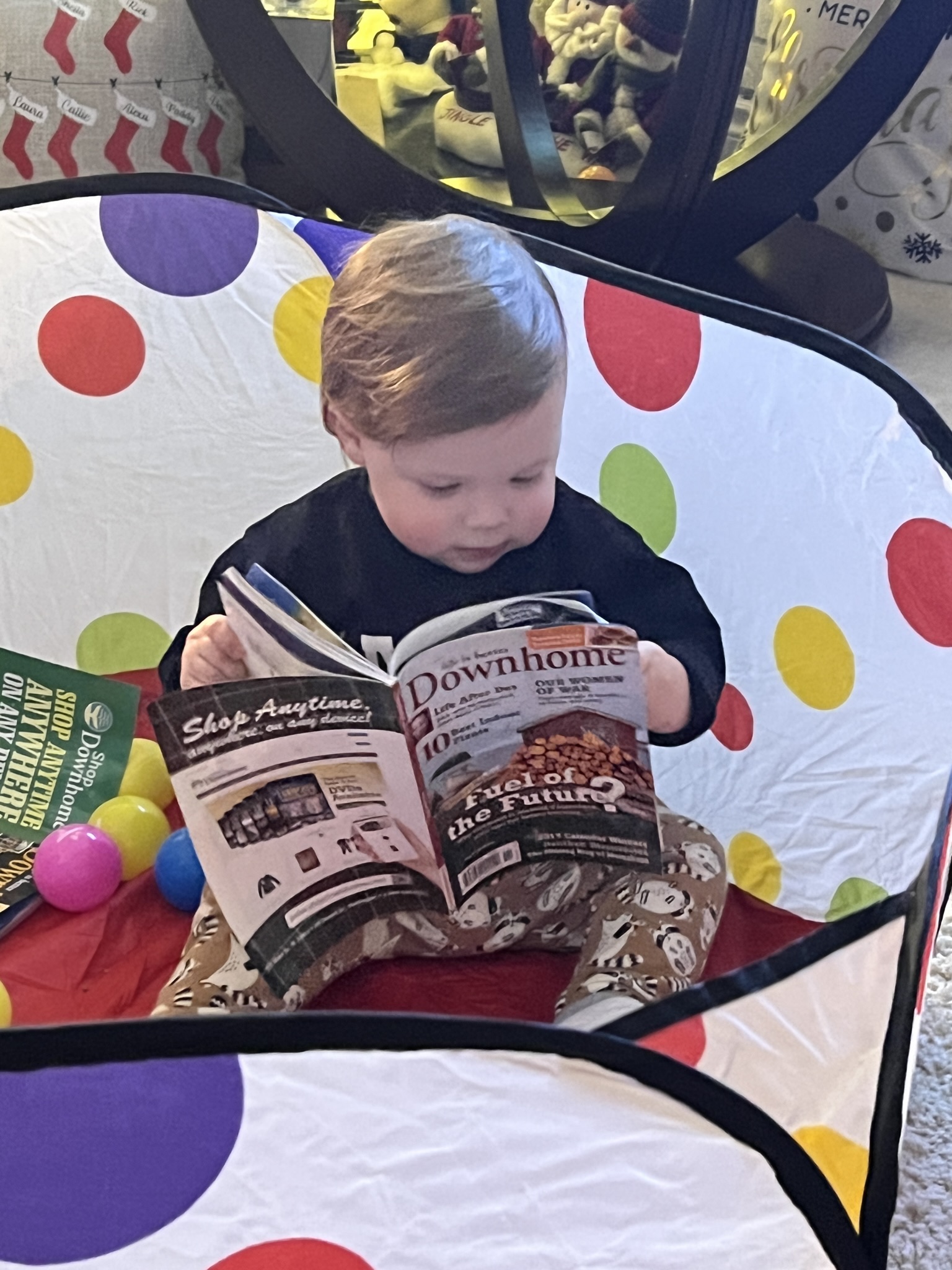 Main Gallery Display