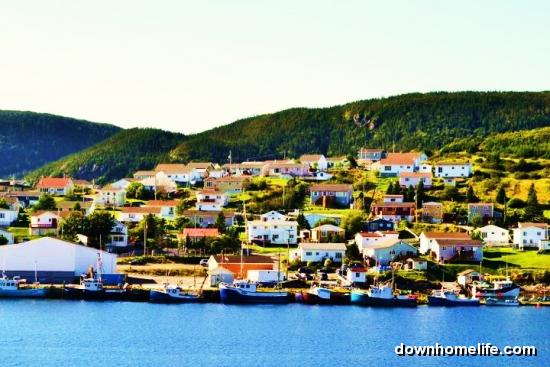 Main Gallery Display