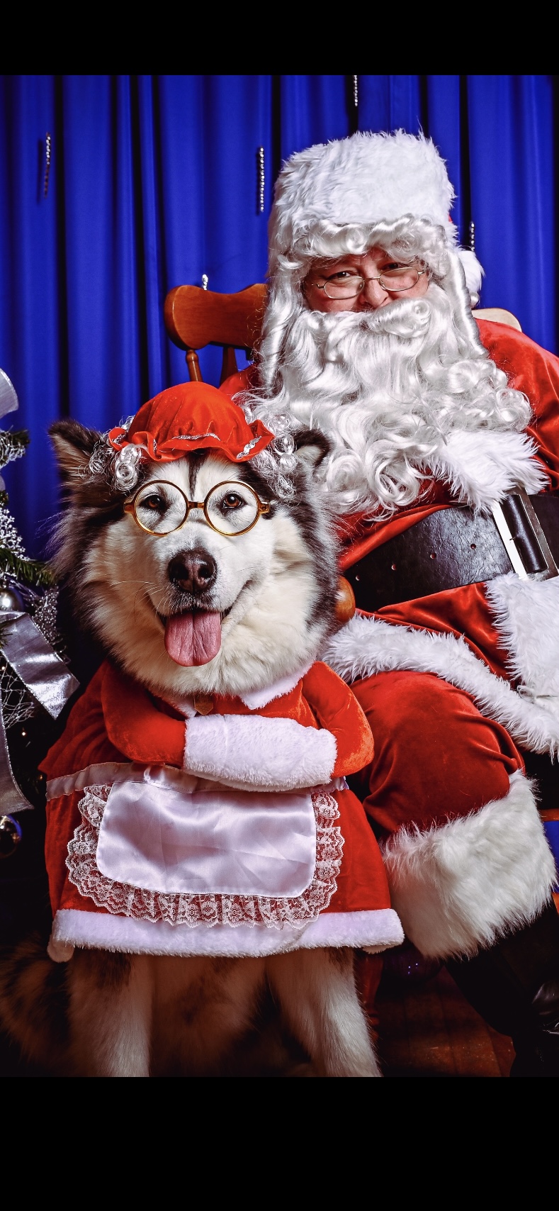 Main Gallery Display