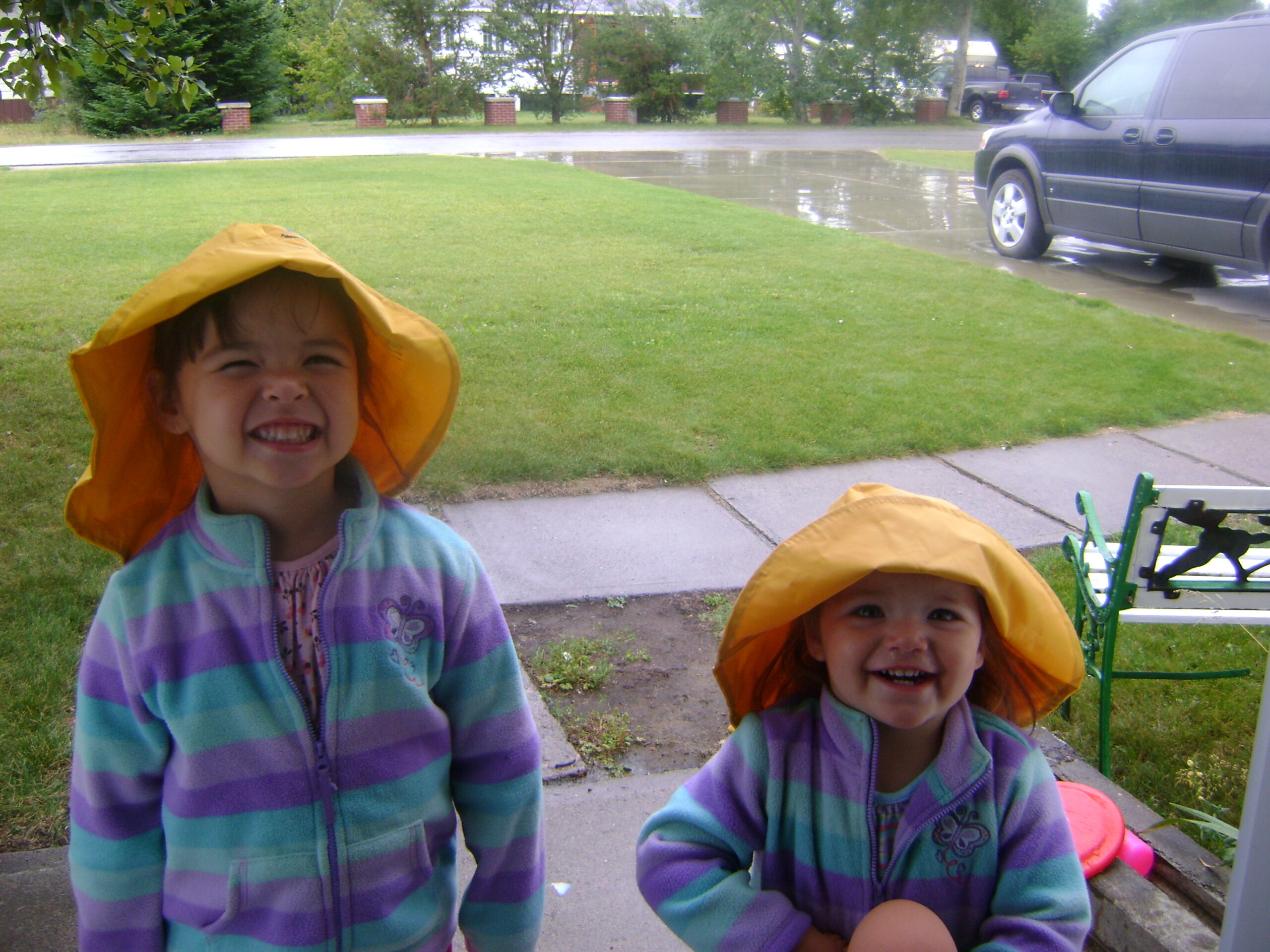 Main Gallery Display