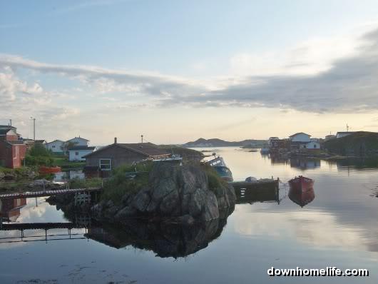 Main Gallery Display