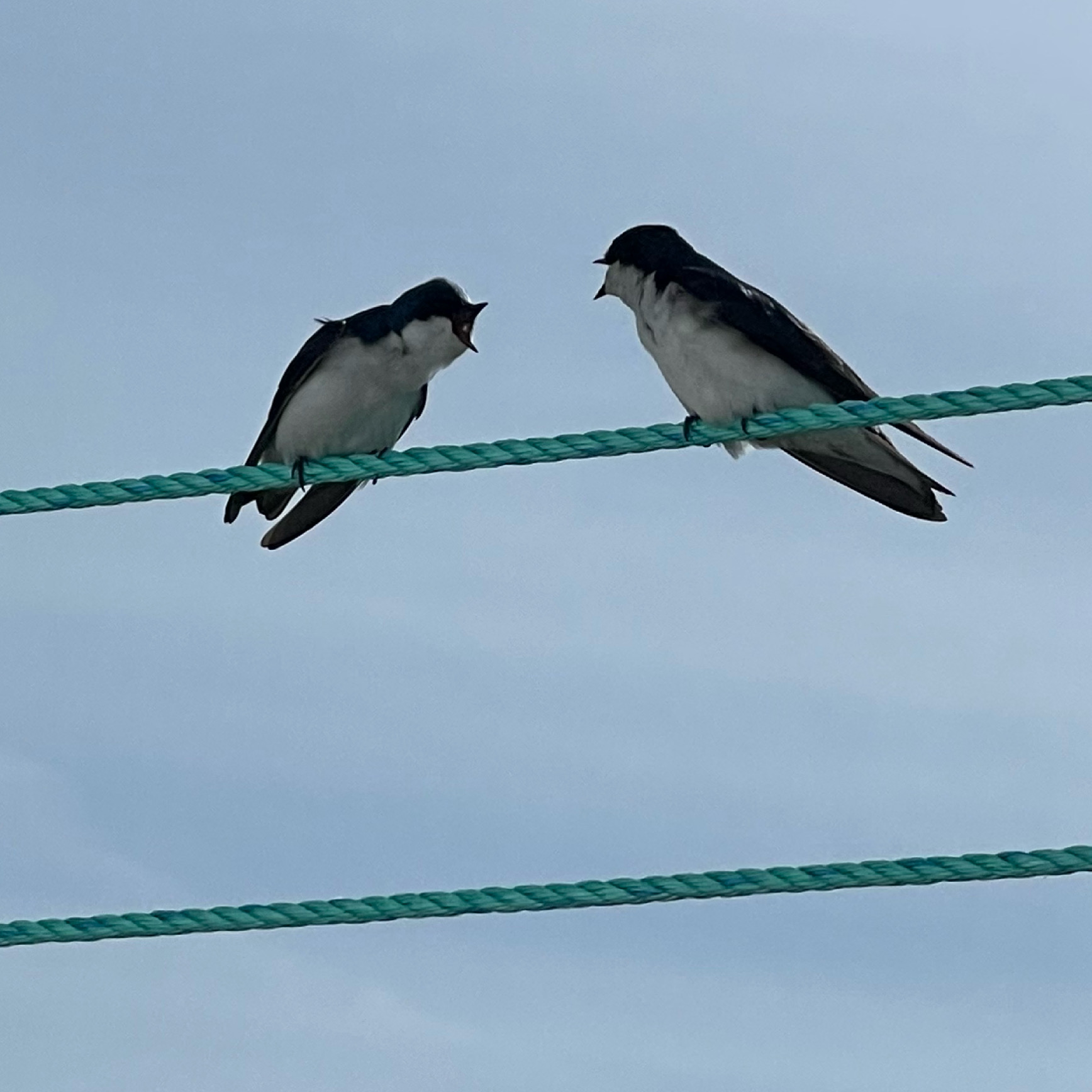 Main Gallery Display