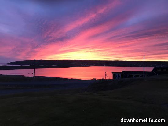 Main Gallery Display