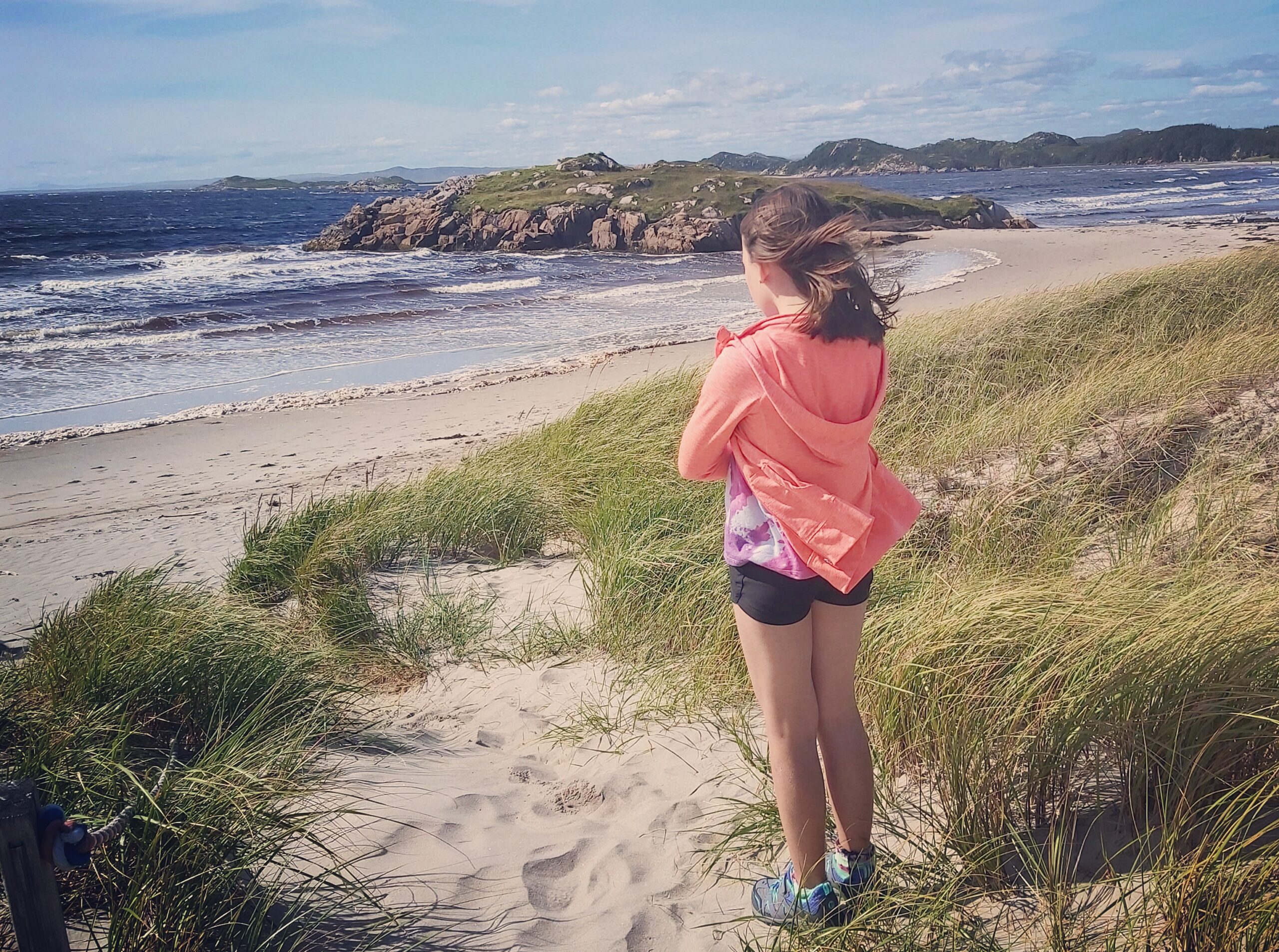 Main Gallery Display