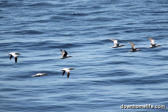 Main Gallery Display